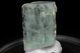 Gemmy Aquamarine Crystal with Muscovite - Pakistan #229391-1